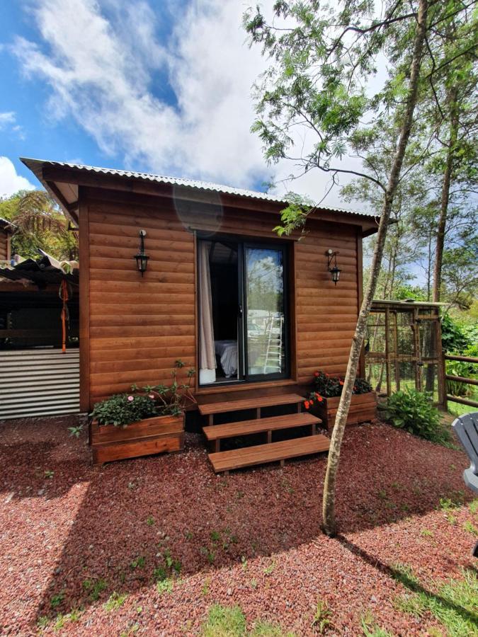 Apartament Les Balsamines Chez Michele & Daniel La Plaine-des-Palmistes Zewnętrze zdjęcie